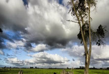 抢断罗梅罗破门，马特乌斯库尼亚斩获国家队处子球.