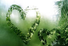 还能这样?基米希对意大利快发角球,穆西亚拉射空门得手.