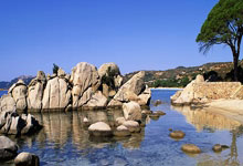 [澳网]张盛：小兹韦列夫心态方面有很大提升.